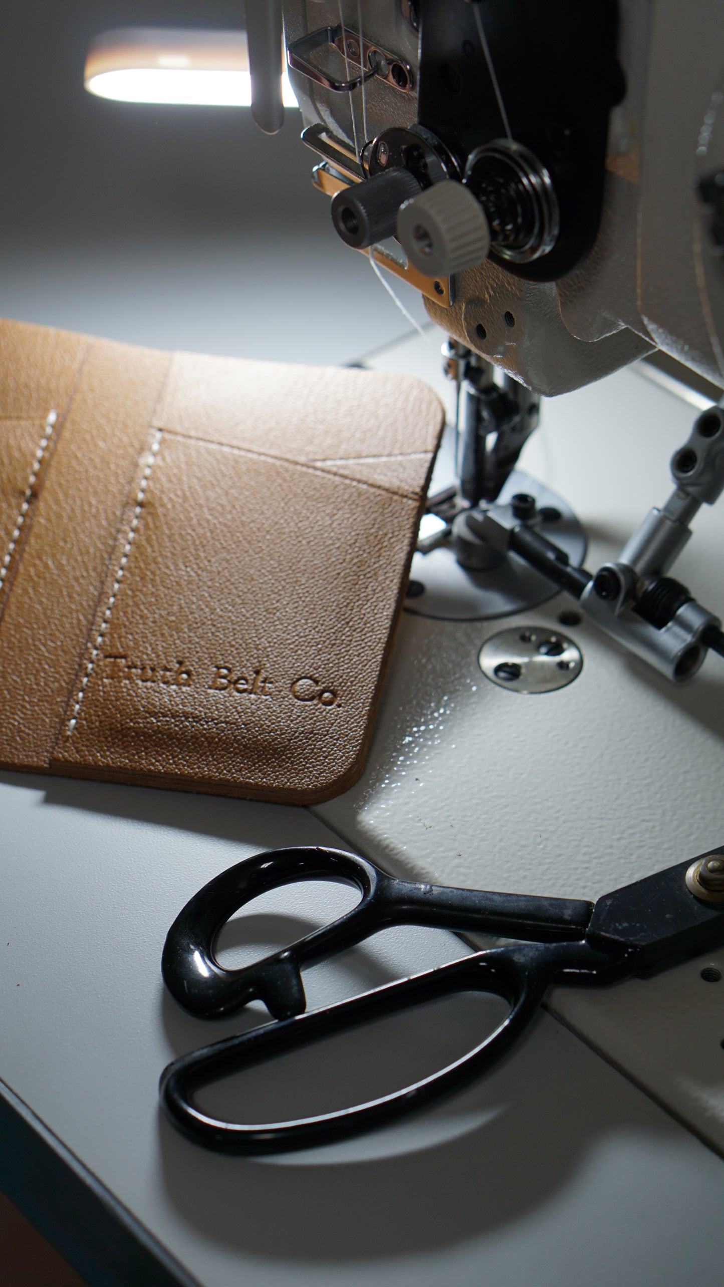 The Card Holder